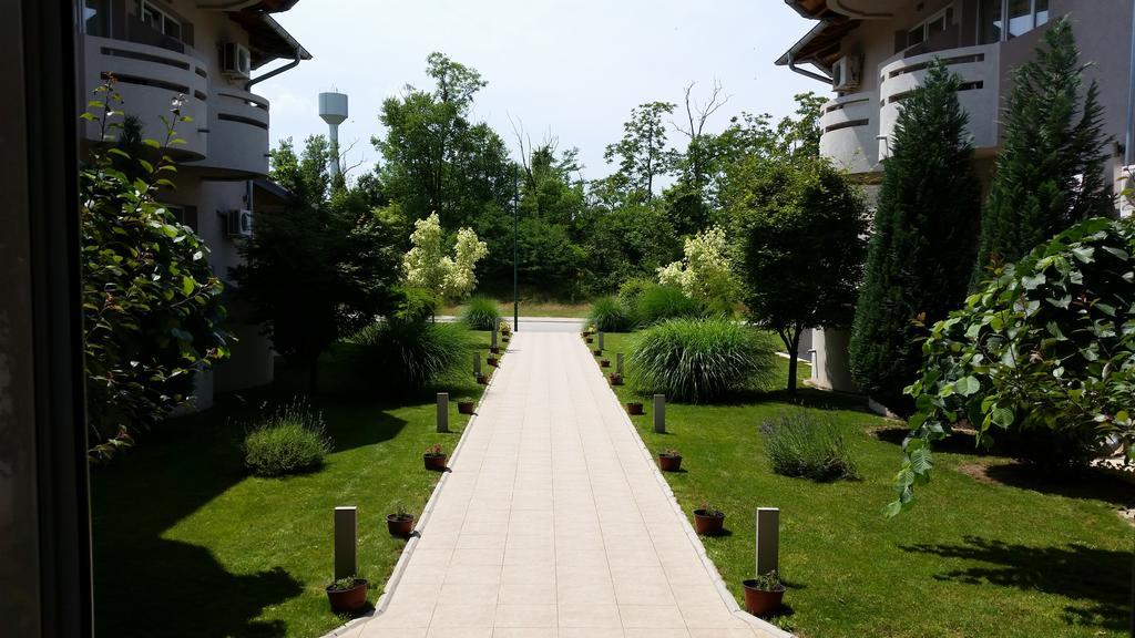 Vila Dincic Doo Veliko Gradište Buitenkant foto