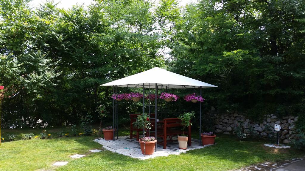 Vila Dincic Doo Veliko Gradište Buitenkant foto