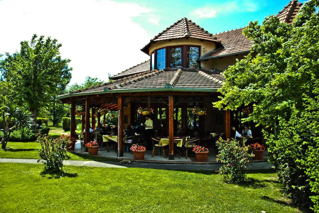 Vila Dincic Doo Veliko Gradište Buitenkant foto